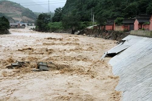 00300069865_d12250de