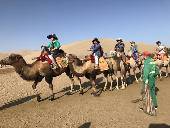 67ae7fe9f65aa74ab949db1087cfc1e1