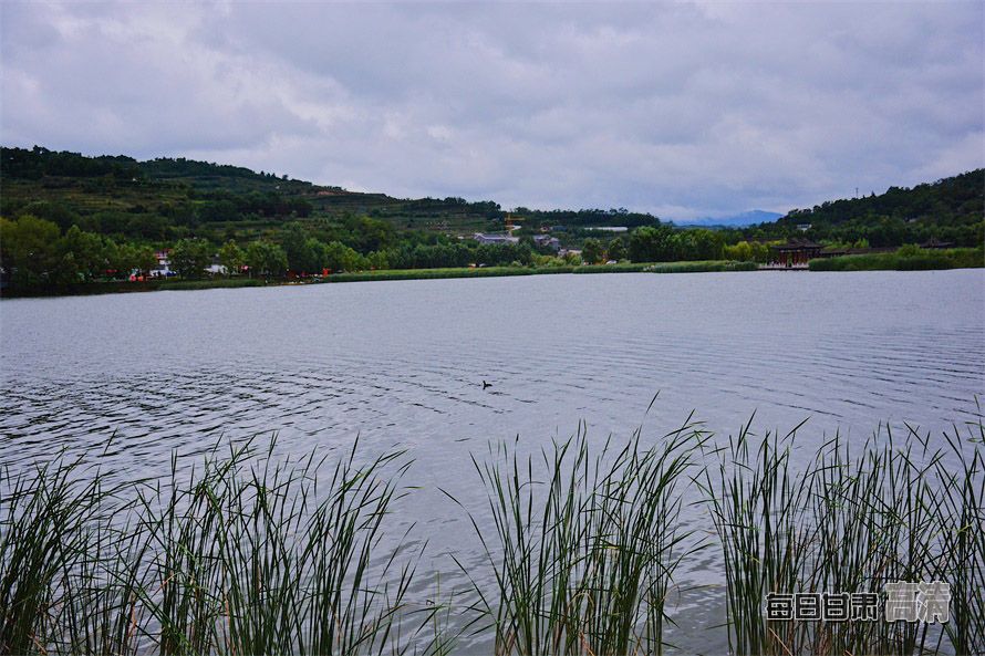 00300117461_8a72c021