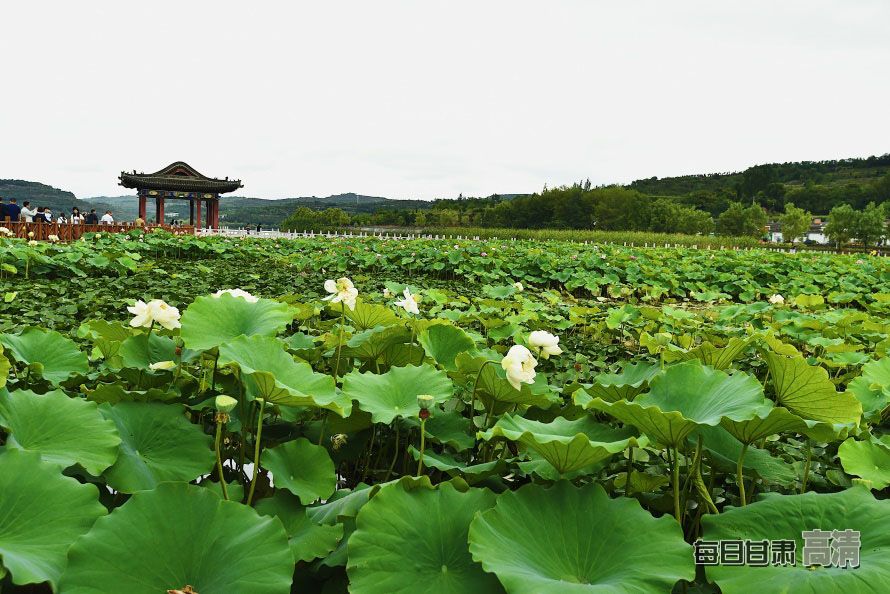 00300117461_8a72c021