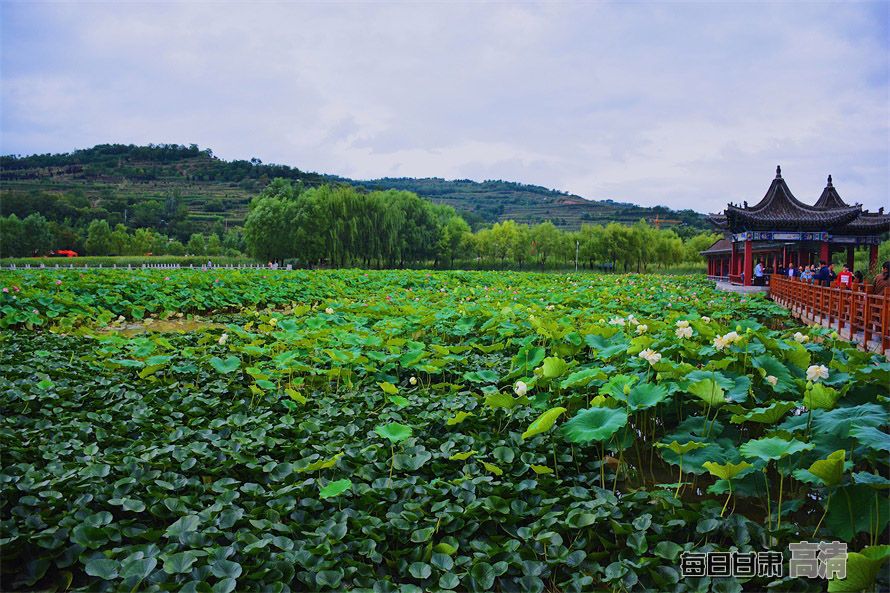 00300117461_8a72c021