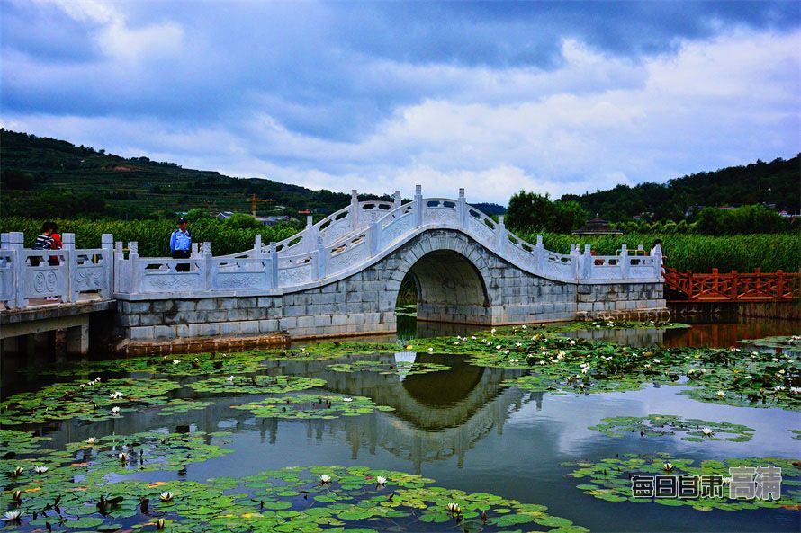 00300117461_8a72c021