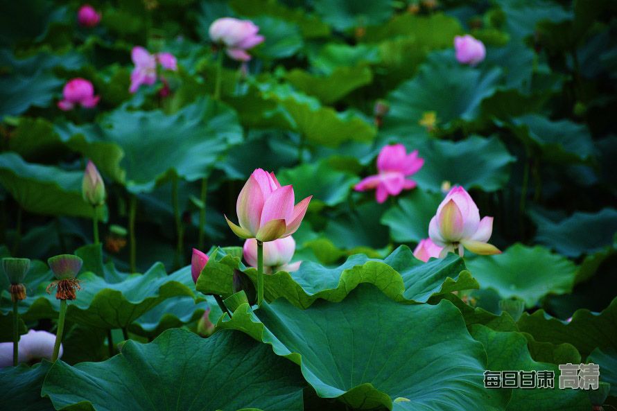 00300117461_8a72c021